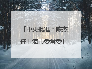 中央批准：陈杰任上海市委常委