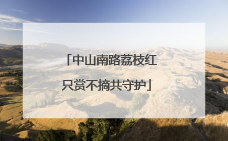中山南路荔枝红 只赏不摘共守护