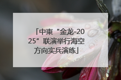 中柬“金龙-2025”联演举行海空方向实兵演练