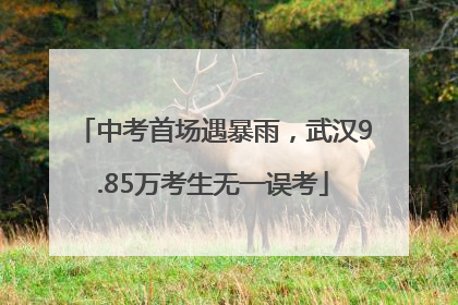 中考首场遇暴雨，武汉9.85万考生无一误考
