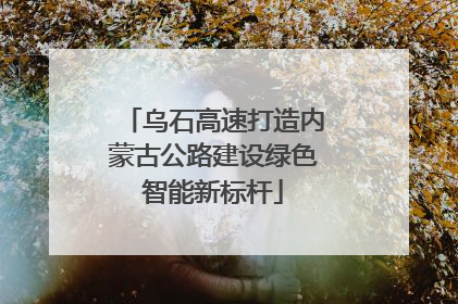 乌石高速打造内蒙古公路建设绿色智能新标杆