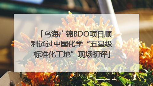 乌海广锦BDO项目顺利通过中国化学“五星级标准化工地”现场初评