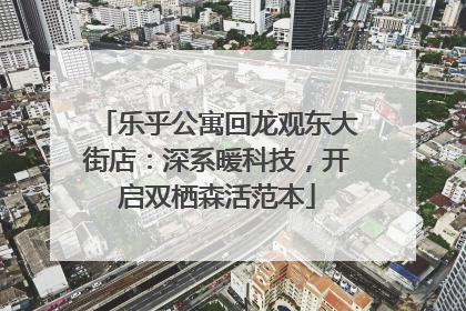乐乎公寓回龙观东大街店：深系暖科技，开启双栖森活范本