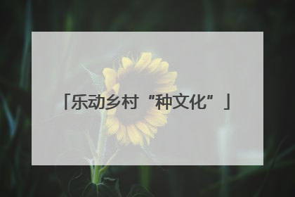 乐动乡村“种文化”