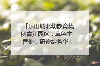 乐山城北幼教育集团青江园区：草色生香处，研途绽芳华