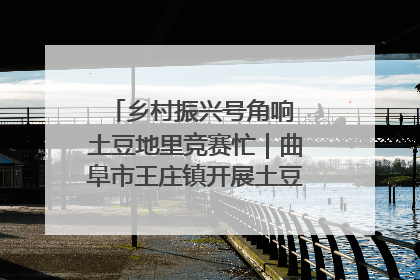 乡村振兴号角响 土豆地里竞赛忙｜曲阜市王庄镇开展土豆收获劳动竞赛