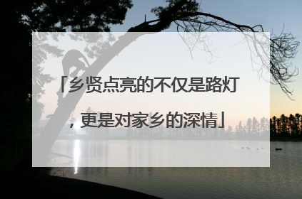 乡贤点亮的不仅是路灯，更是对家乡的深情