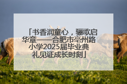 书香润童心，骊歌启华章——合肥市亳州路小学2025届毕业典礼见证成长时刻