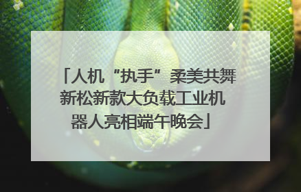 人机“执手”柔美共舞 新松新款大负载工业机器人亮相端午晚会