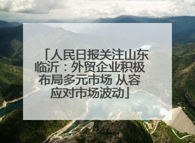 人民日报关注山东临沂：外贸企业积极布局多元市场 从容应对市场波动