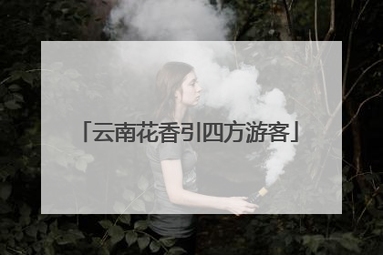 云南花香引四方游客
