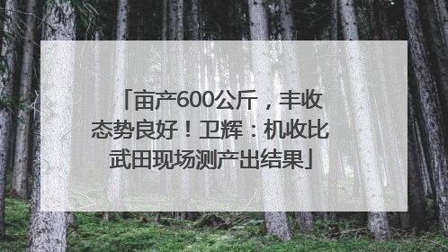 亩产600公斤，丰收态势良好！卫辉：机收比武田现场测产出结果