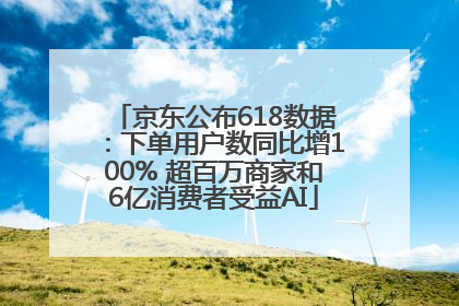 京东公布618数据：下单用户数同比增100% 超百万商家和6亿消费者受益AI