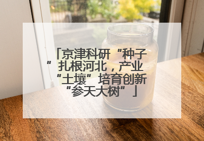 京津科研“种子”扎根河北，产业“土壤”培育创新“参天大树”