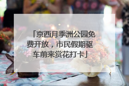 京西月季洲公园免费开放，市民假期驱车前来赏花打卡