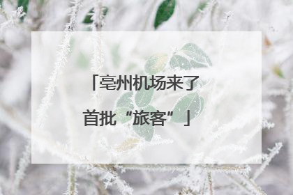 亳州机场来了首批“旅客”