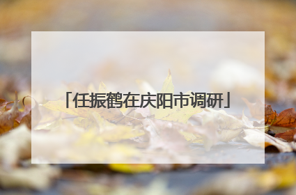任振鹤在庆阳市调研
