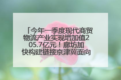 今年一季度现代商贸物流产业实现增加值205.7亿元！廊坊加快构建链接京津冀面向全世界的物流通道