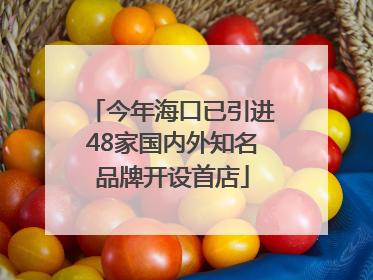 今年海口已引进48家国内外知名品牌开设首店
