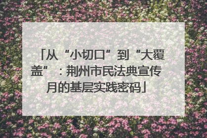 从“小切口”到“大覆盖”：荆州市民法典宣传月的基层实践密码