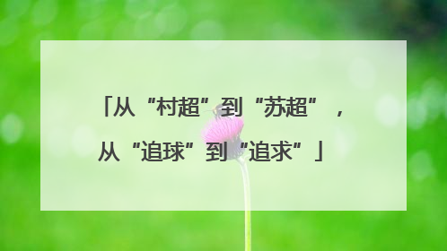 从“村超”到“苏超”，从“追球”到“追求”
