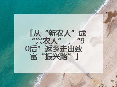 从“新农人”成“兴农人”，“90后”返乡走出致富“振兴路”
