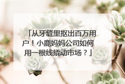 从牙缝里抠出百万用户！小鹿妈妈公司如何用一根线撬动市场？