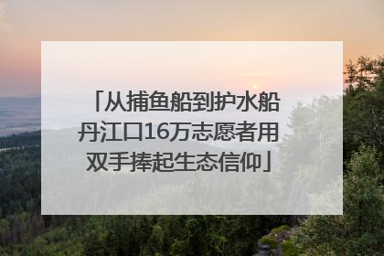 从捕鱼船到护水船 丹江口16万志愿者用双手捧起生态信仰