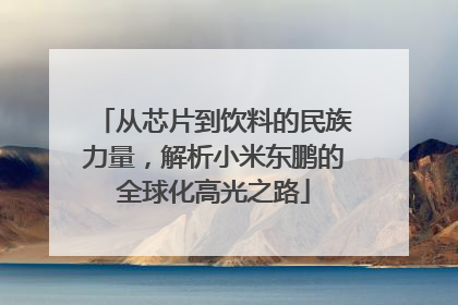 从芯片到饮料的民族力量，解析小米东鹏的全球化高光之路