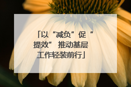 以“减负”促“提效” 推动基层工作轻装前行