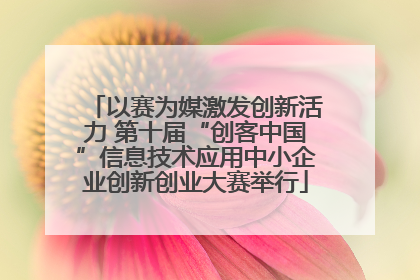 以赛为媒激发创新活力 第十届“创客中国”信息技术应用中小企业创新创业大赛举行
