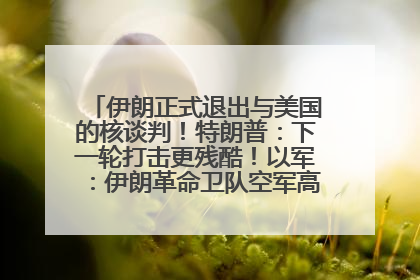 伊朗正式退出与美国的核谈判！特朗普：下一轮打击更残酷！以军：伊朗革命卫队空军高层指挥系统已被击垮