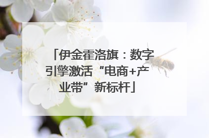 伊金霍洛旗：数字引擎激活“电商+产业带”新标杆