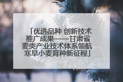 优选品种 创新技术 推广成果——甘肃省麦类产业技术体系领航寒旱小麦育种新征程