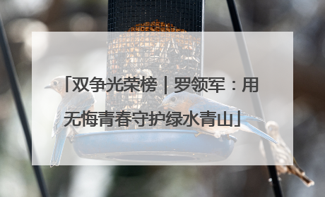 双争光荣榜｜罗领军：用无悔青春守护绿水青山
