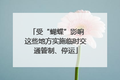受“蝴蝶”影响 这些地方实施临时交通管制、停运