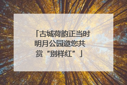 古城荷韵正当时 明月公园邀您共赏“别样红”