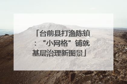 台前县打渔陈镇：“小网格”铺就基层治理新图景