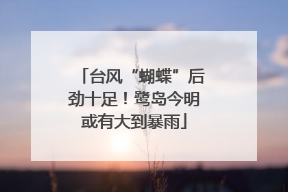 台风“蝴蝶”后劲十足！鹭岛今明或有大到暴雨