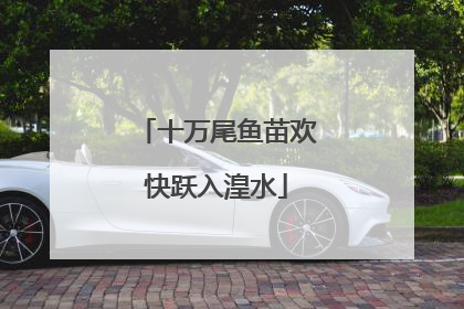 十万尾鱼苗欢快跃入湟水
