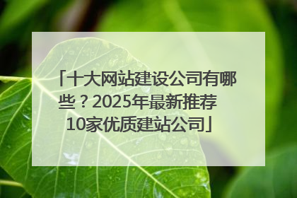 十大网站建设公司有哪些？2025年最新推荐10家优质建站公司