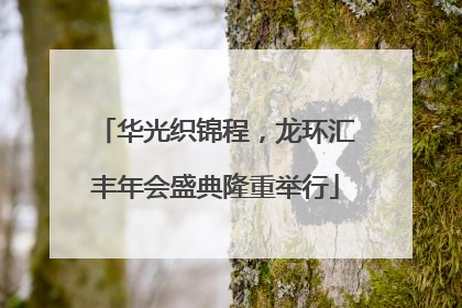 华光织锦程，龙环汇丰年会盛典隆重举行