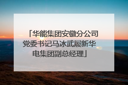 华能集团安徽分公司党委书记马冰武履新华电集团副总经理