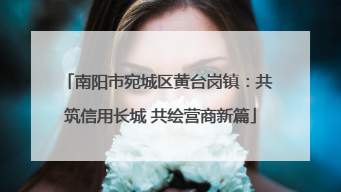南阳市宛城区黄台岗镇：共筑信用长城 共绘营商新篇