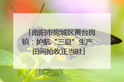 南阳市宛城区黄台岗镇：护航“三夏”生产 田间抢收正当时