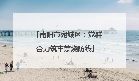 南阳市宛城区：党群合力筑牢禁烧防线