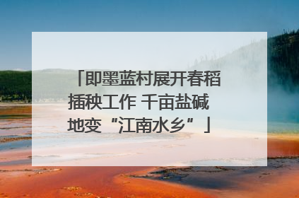 即墨蓝村展开春稻插秧工作 千亩盐碱地变“江南水乡”