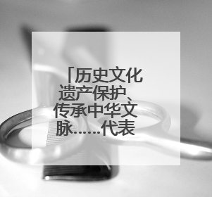 历史文化遗产保护、传承中华文脉……代表们关注这些事