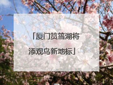 厦门筼筜湖将添观鸟新地标