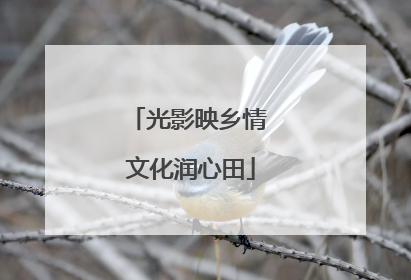 光影映乡情 文化润心田